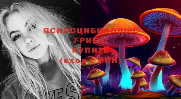 скорость Алексин